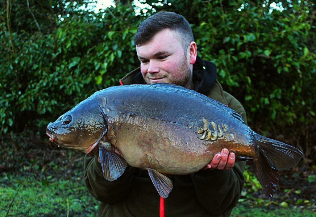 Carp Characteristics What Do Carp Eat & More BadAngling