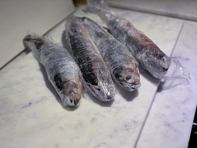 American Flag With Pike Fish Illustration. Design Element For Poster - View #7