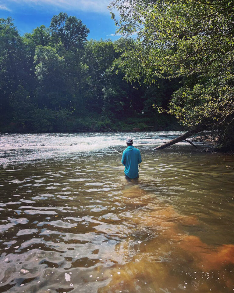 Shoal Bass Fish Species Guide BadAngling