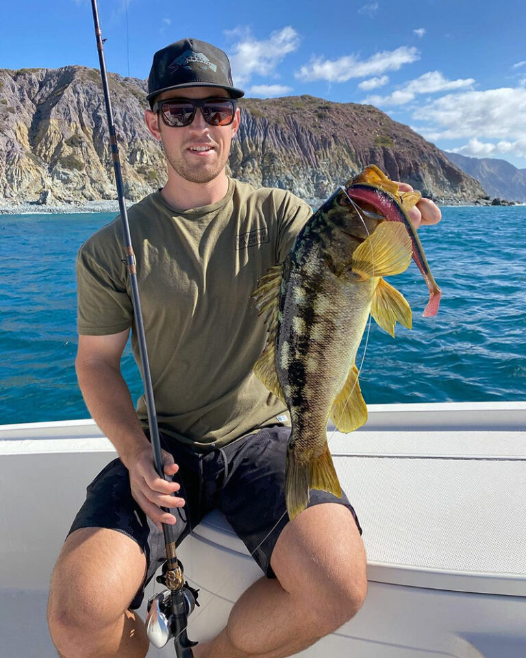 Calico Bass Fish Species Guide BadAngling